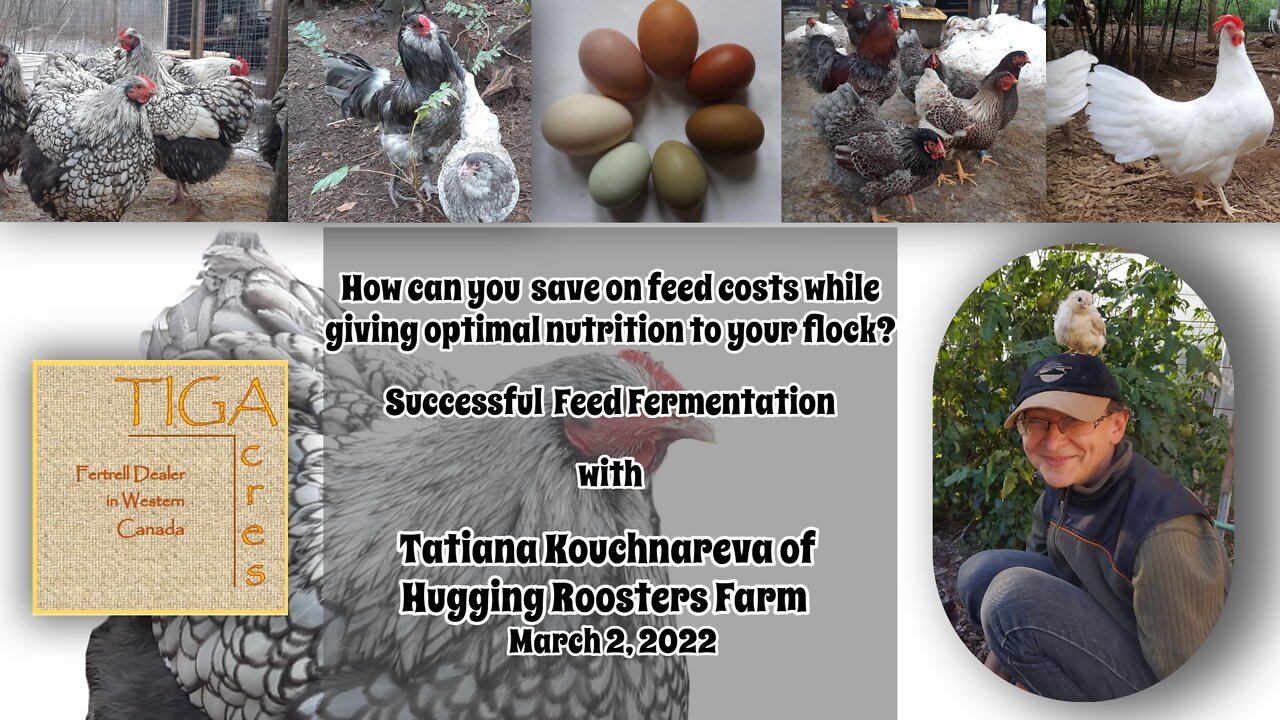 How Can You Save on Feed Cost While Giving Optimal Nutrition to Your Flock with Tatiana Kouchnareva