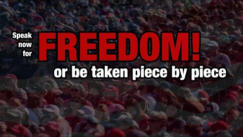 Speak Up for Freedom, or be taken piece by piece