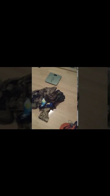 The bag full of water