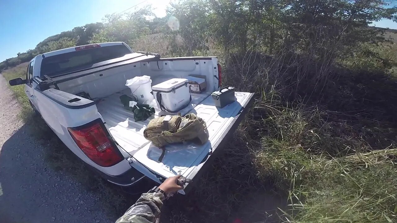 Another Afternoon Dove Hunt a GSP Stopped By