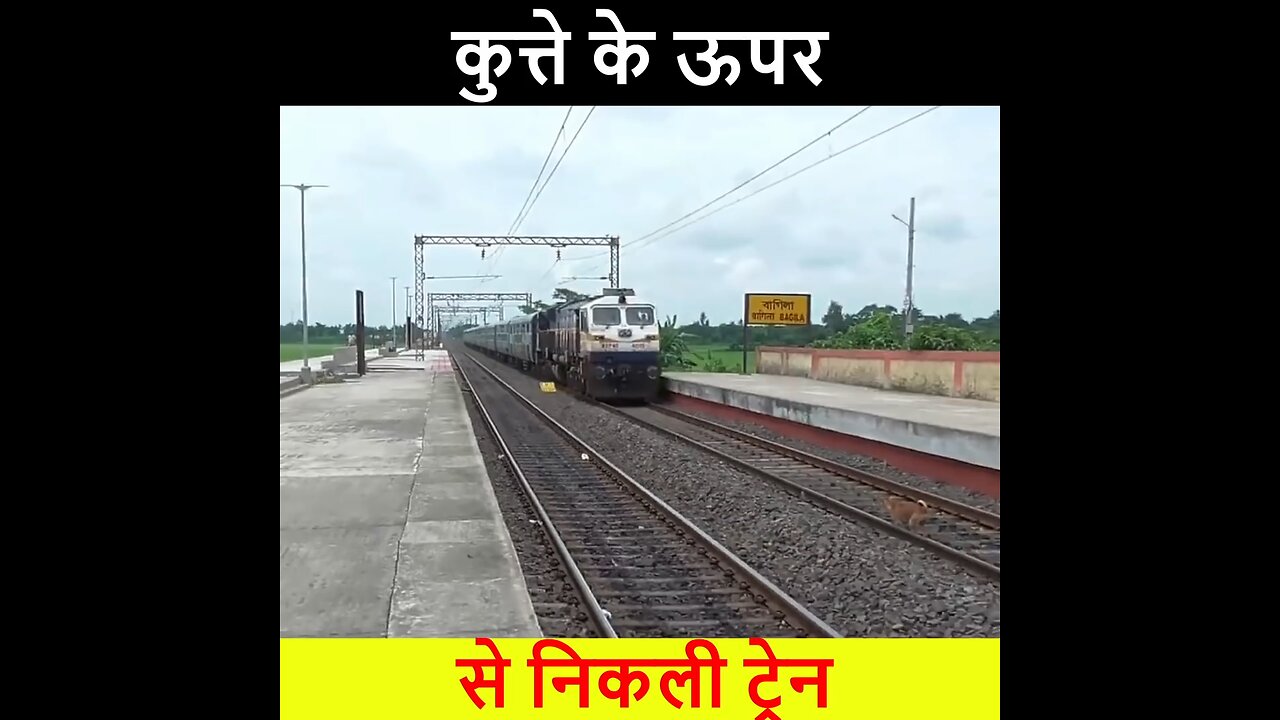 train do ke kutte se nikal gai