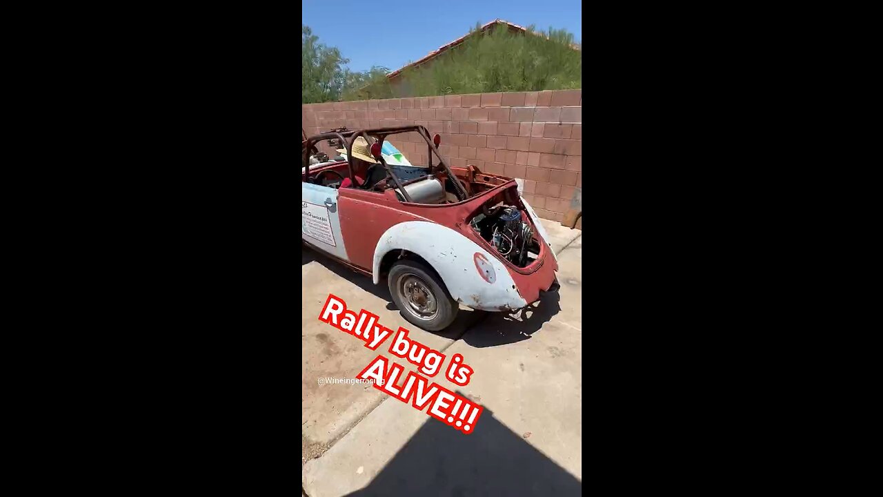 Rallybug is Alive!!!!