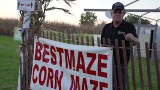 Check out Bestmaze Corn Maze in Williamston