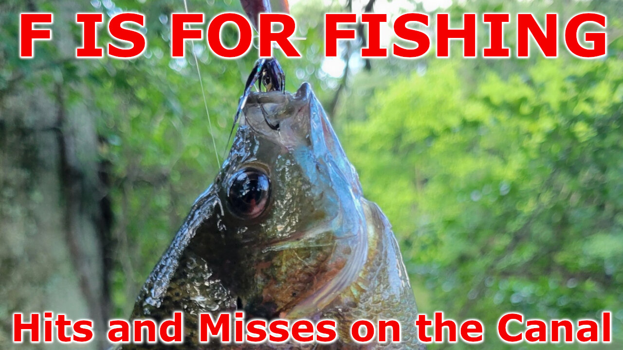 Hits and Misses on the Canal