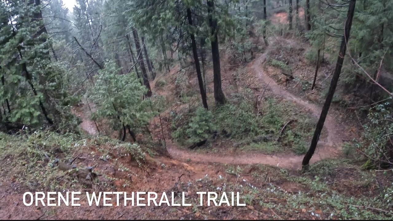 Orene Wetherall Trail