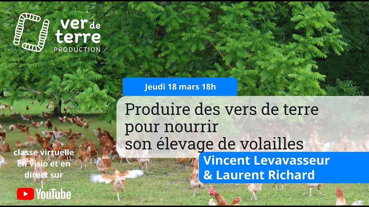 Produire des vers de terre pour nourrir son élevage de volailles