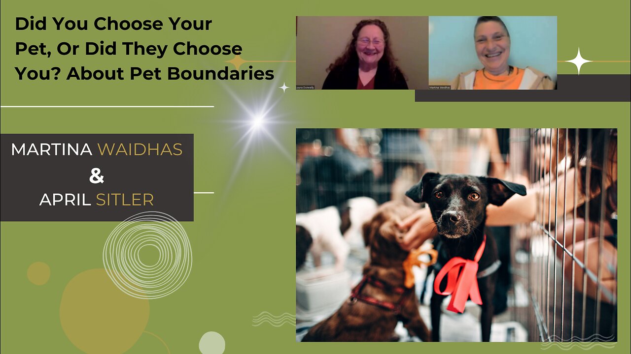 Did you choose your pet, or did they choose you? Exploring Pet Boundaries! 🐈 🐕 🐾