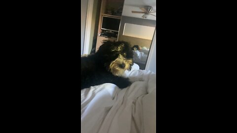 Pepper girl