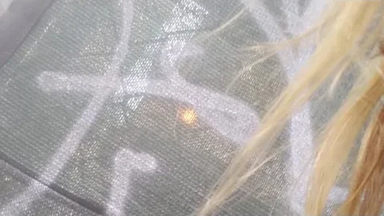 Mask Mandate Monday In Philly With Philadelphia Walks PTSD