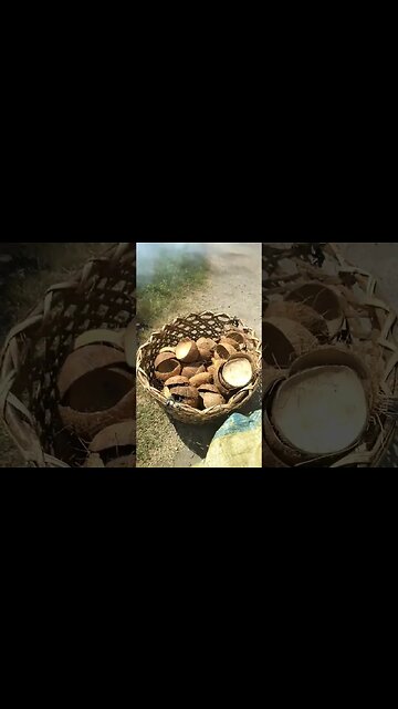 How they make Charcoal in Philippines - Come fanno il carbone in Filippine