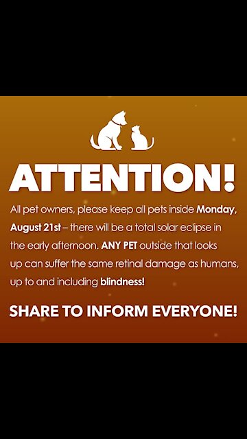 Solar eclipse pet safety [GMG Originals]