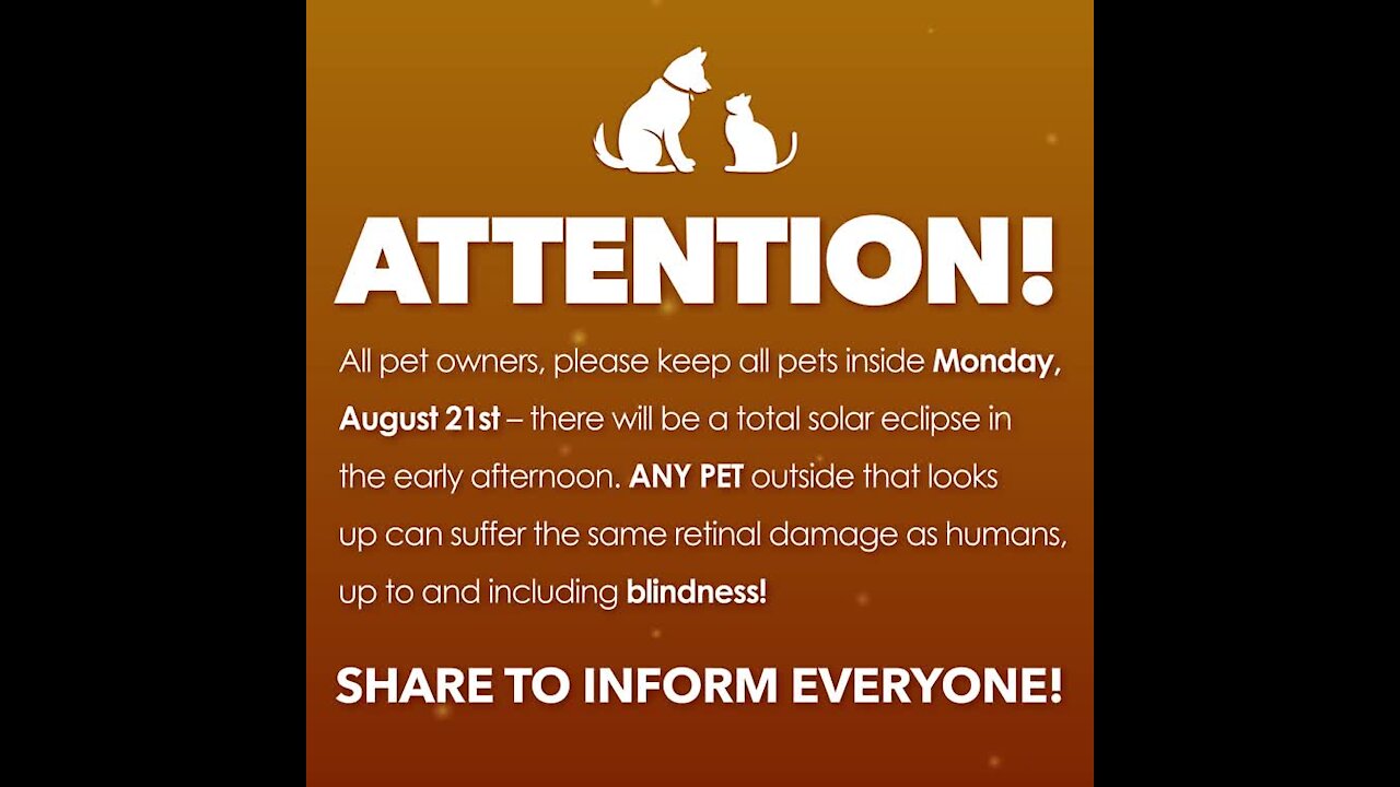 Solar eclipse pet safety [GMG Originals]