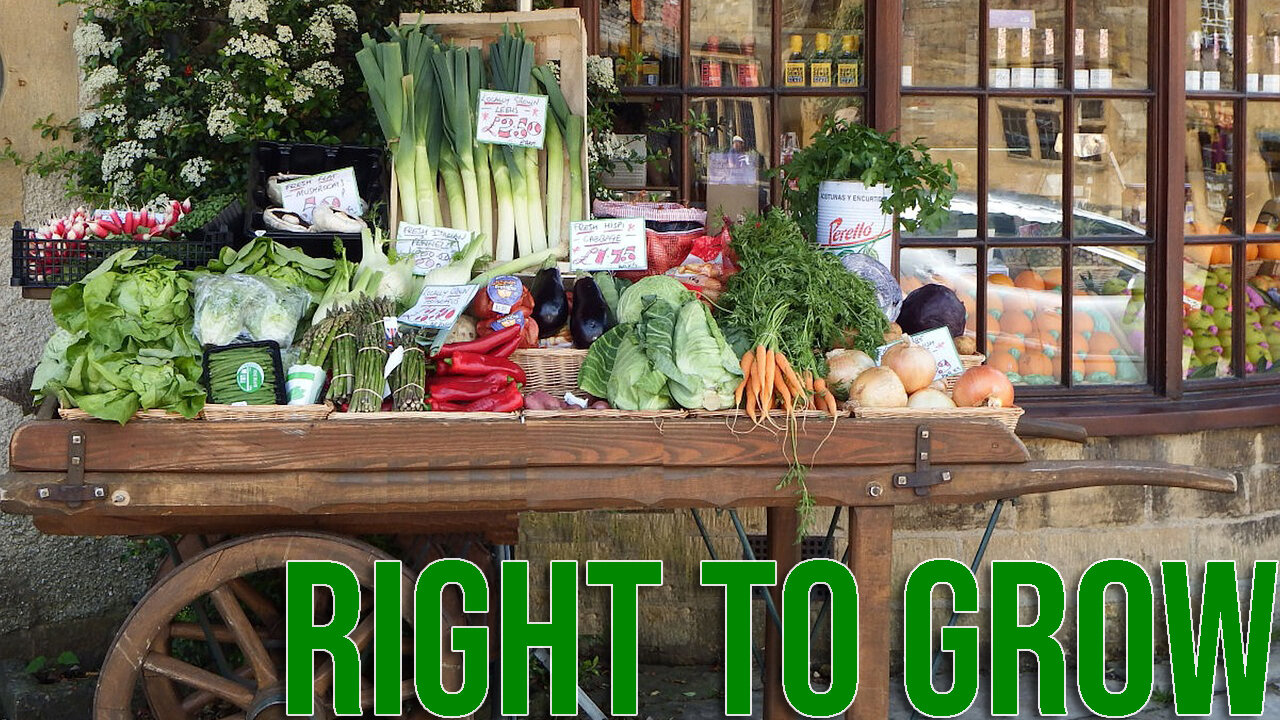 Right to Eat & Grow Food: Efforts to Protect in State Constitutions