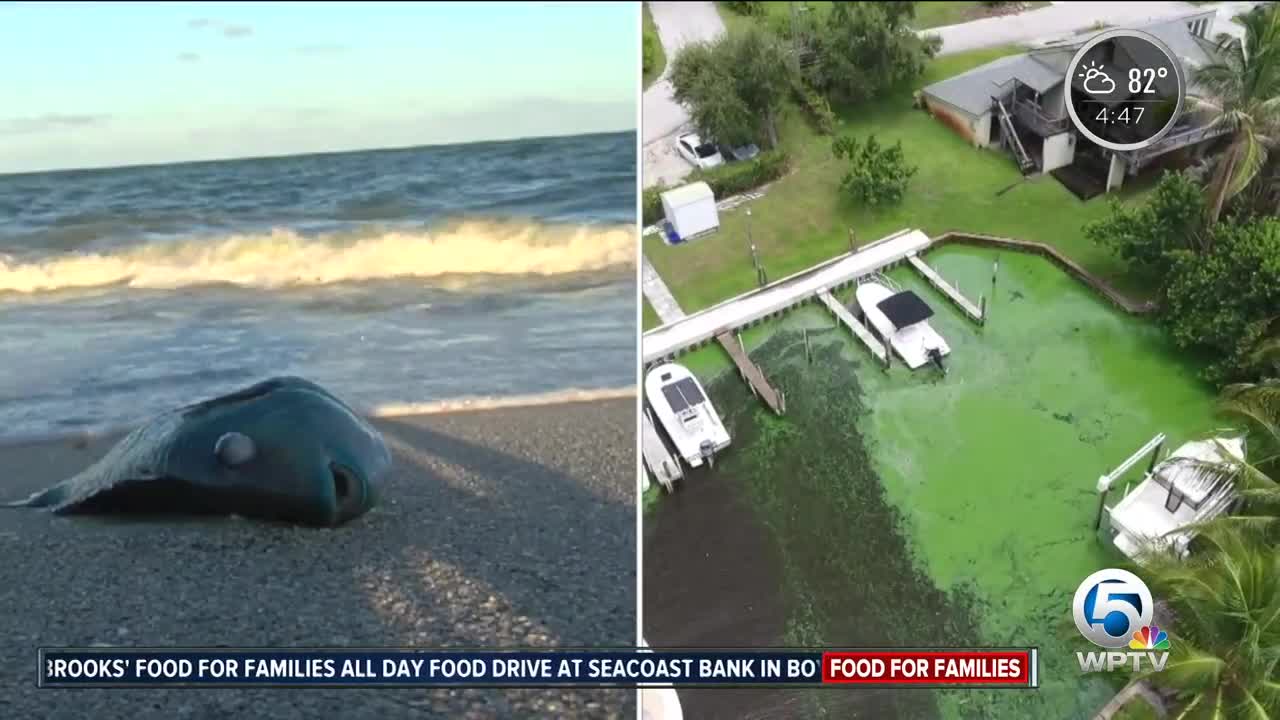 Water recovers, some Treasure Coast businesses still hurting