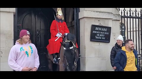 Horse bites tourists on the arm #horseguardsparade