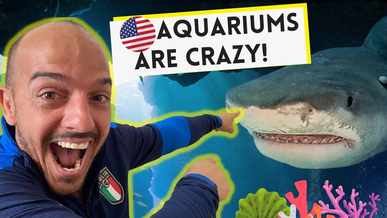 Cuban Reacts to Aquarium in America! - First Time!