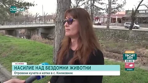 Поредно насилие над бездомни животни