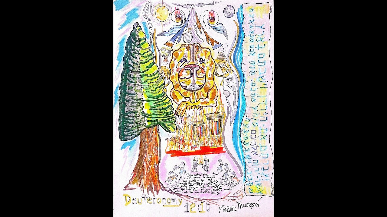 Deuteronomy 12:8-19 (The Place Where the Lord Your God Chooses, Part II)