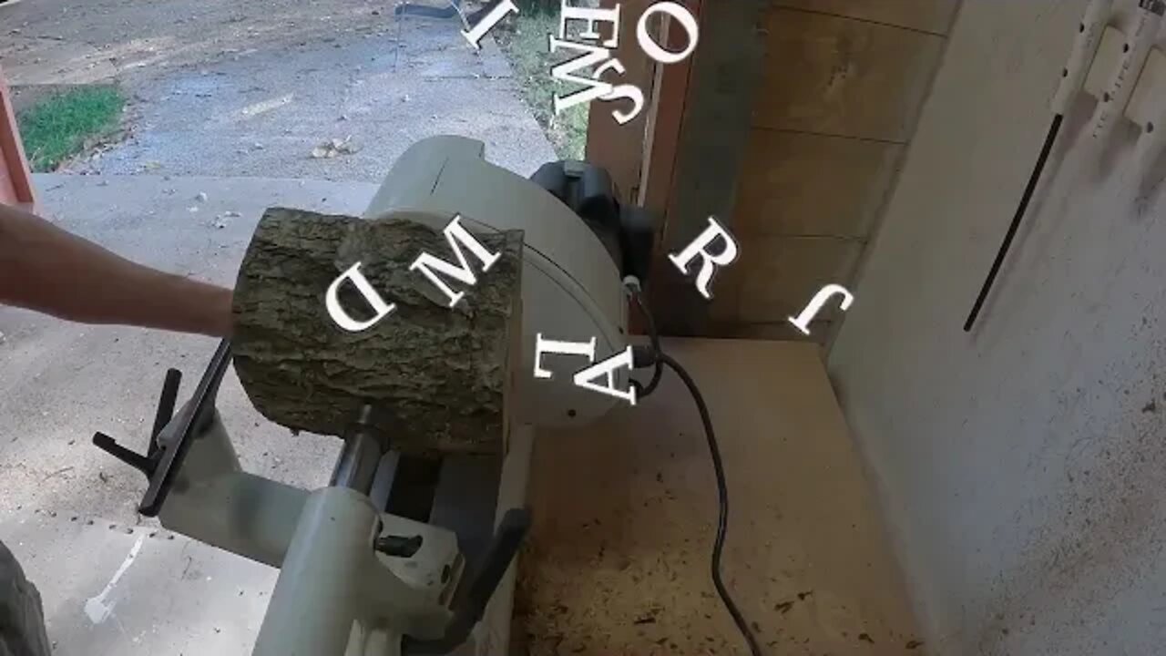 Old Tree Maple Bowl