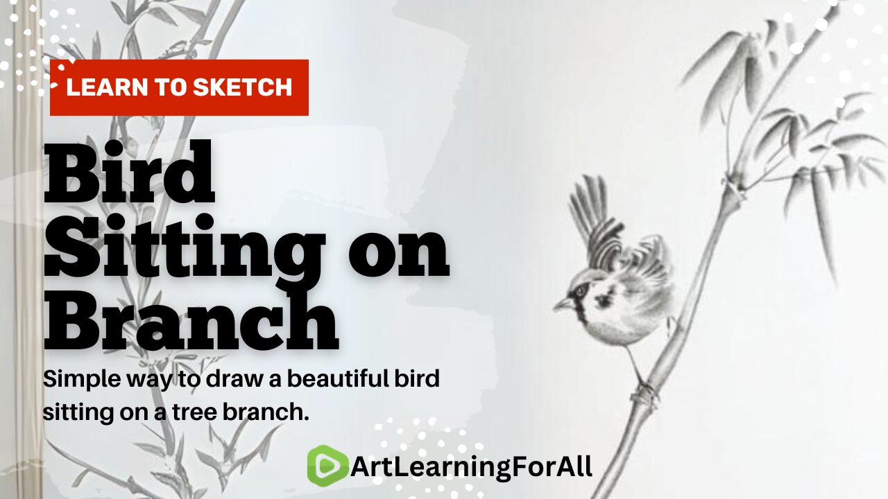 🎨 Master the Art of Nature: Draw a Beautiful Bird 🐦🌳