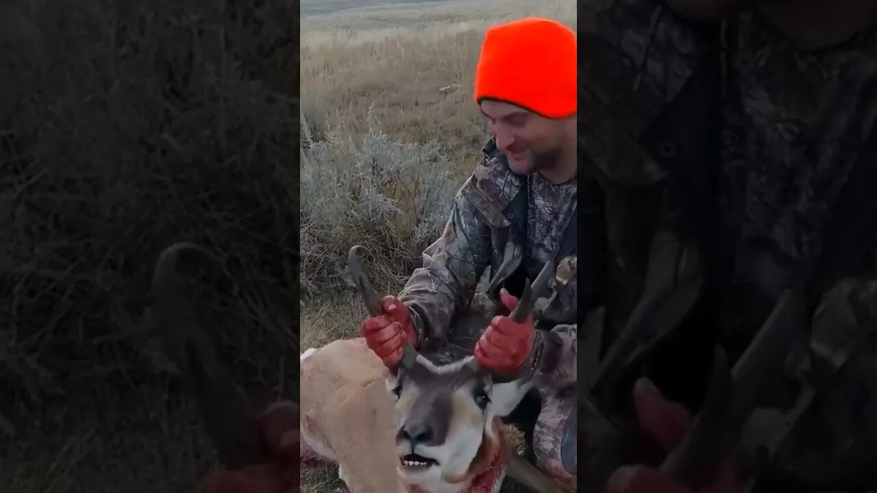 Wyoming Pronghorn Buck!