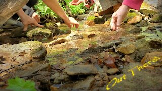 Rock Hunting Family Hyperlapse