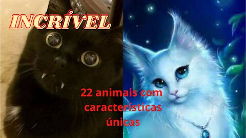 Animais com suas caracteristicas únicas