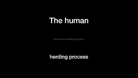Human herding process