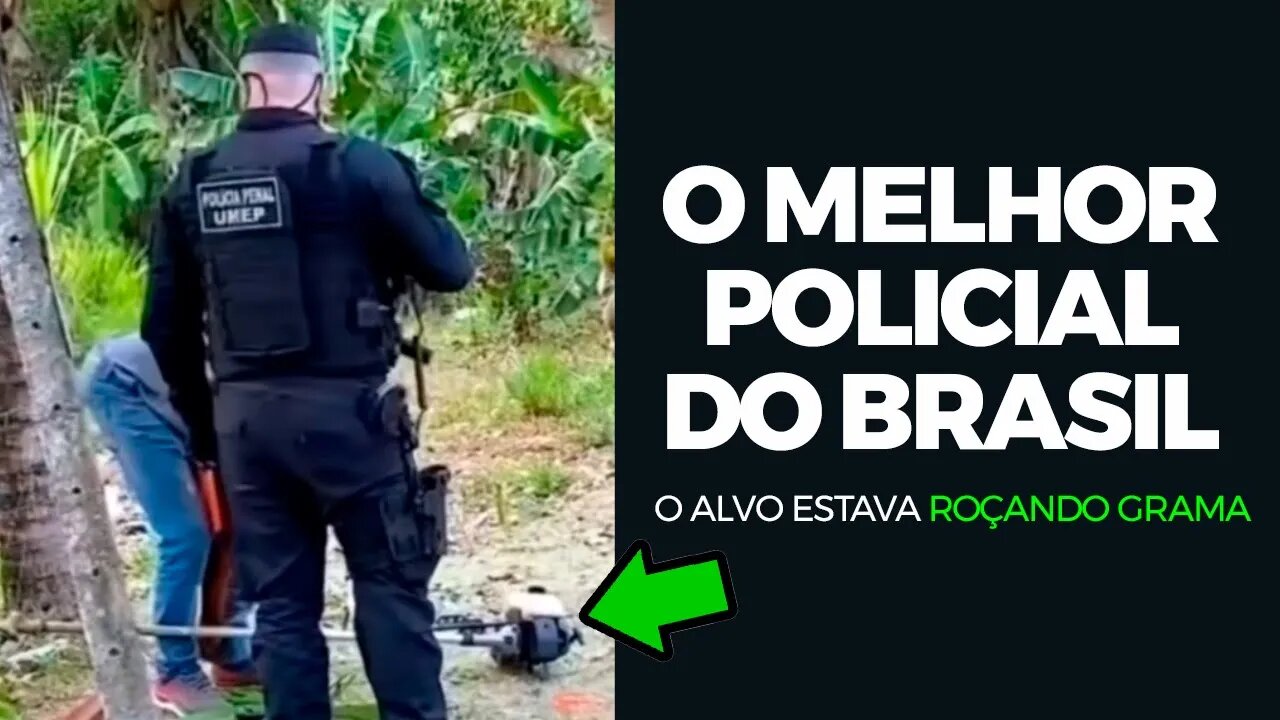 O melhor policial do Brasil ! Abordagem motivacional #policia #motivacional #concursopublico