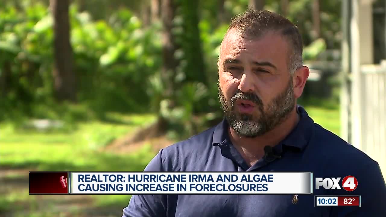 Hurricane Irma and Algae leading to high rate of foreclosures