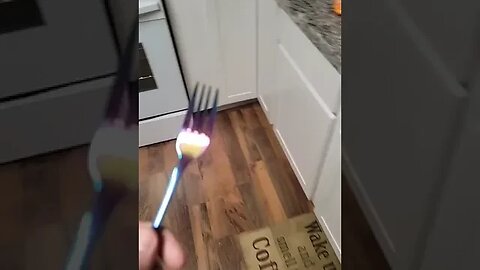 Kitchen Question Tiktok simplyshainers