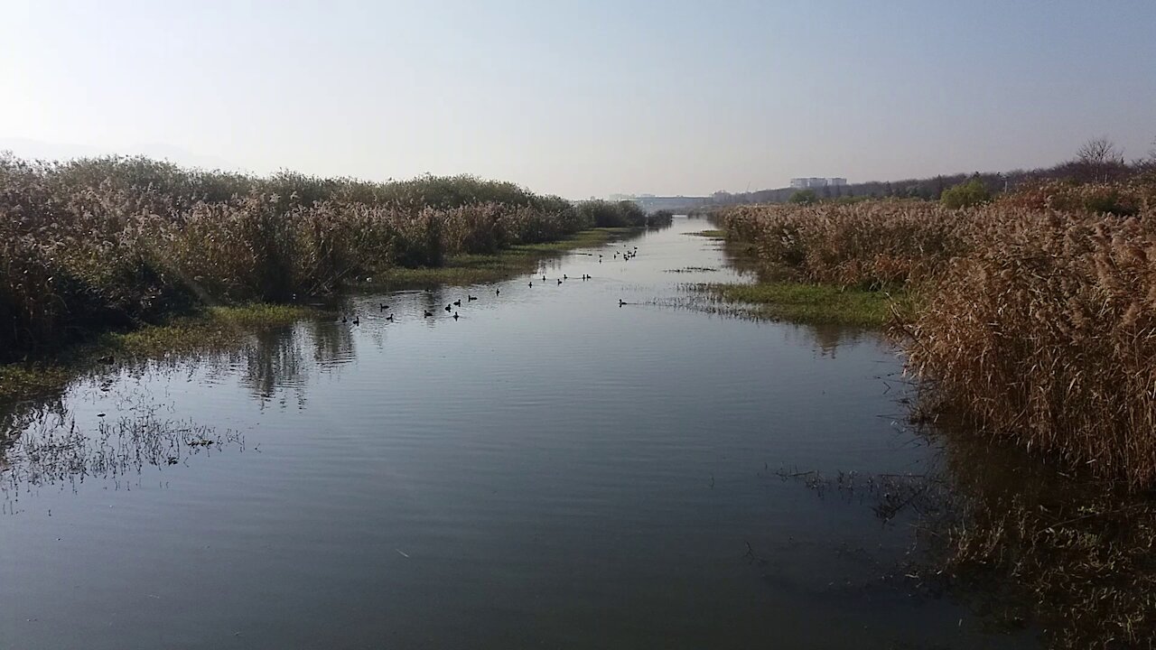 A peaceful migratory bird sanctuary.