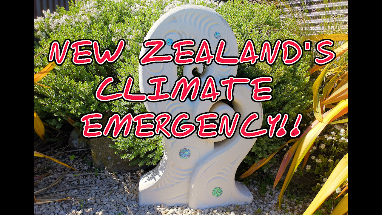 The Observation Post - IT'S A CLIMATE EMERGENCY! (In New Zealand)