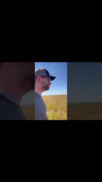 Bison and Beyond: Discovering the Diverse Wildlife at Tallgrass Prairie Preserve