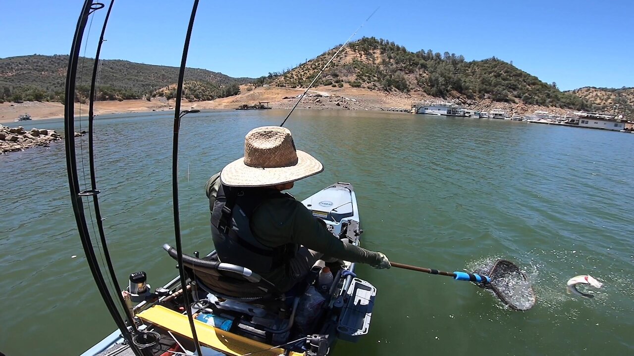 Living On Topwater (WWBT Don Pedro)