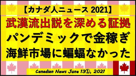 研究所流出説を深める証拠 パンデミックで金稼ぎ 海鮮市場にコウモリはいなかった