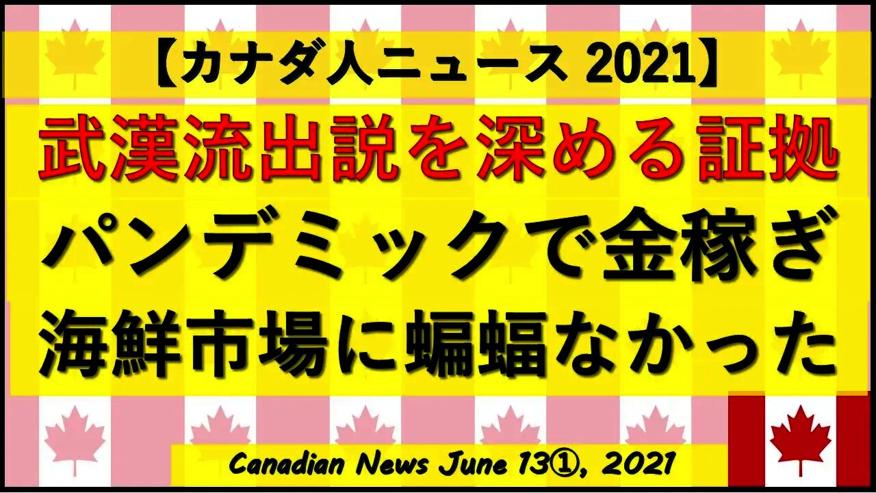 研究所流出説を深める証拠 パンデミックで金稼ぎ 海鮮市場にコウモリはいなかった