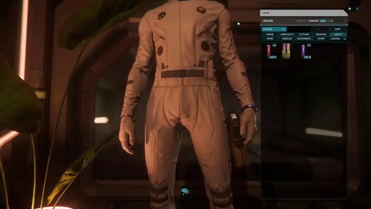 Nitwits' playing Star Citizen