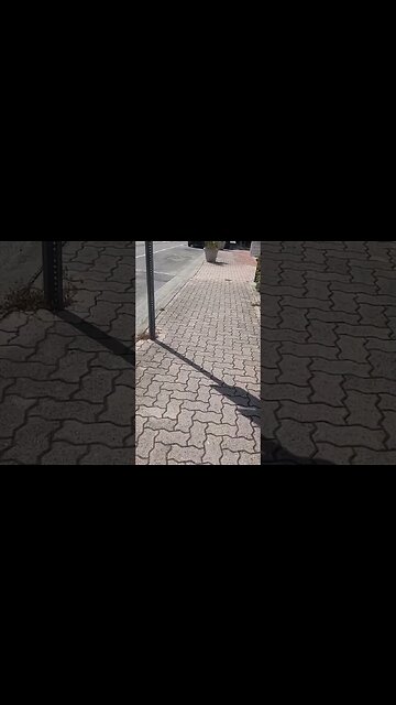 My secret hobby is attending Farmers Markets #winterparkflorida #farmersmarket #nature #life #beauty