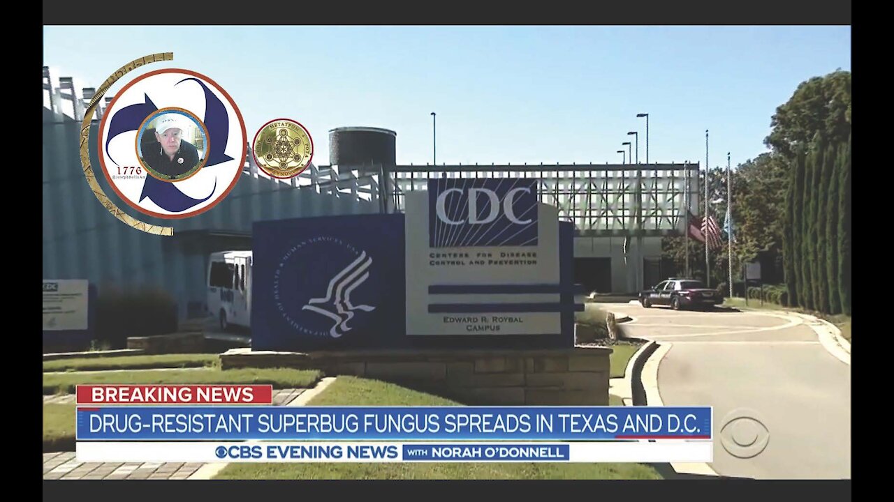 Drug-Resistant Superbug Fungus Spreads In Texas And Washington, D.C