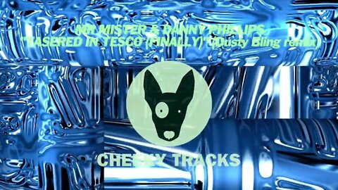 Mr Mister & Danny Phillips - Tasered In Tesco (Finally) (Dusty Bling remix) (Cheeky Tracks)