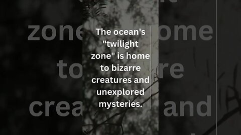 Twilight Zone #twilight #twilightzone #ocean #horror #fyp