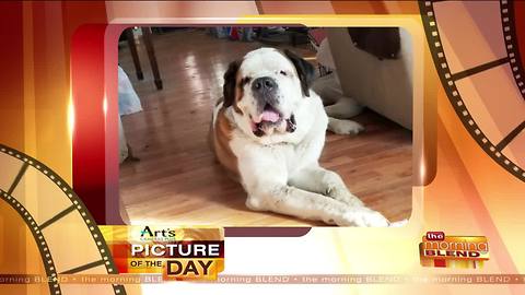 Art's Cameras Plus Picture of the Day for April 25!