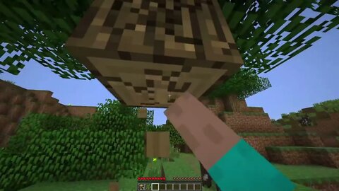 Minecraft 1.2.5 in 2022