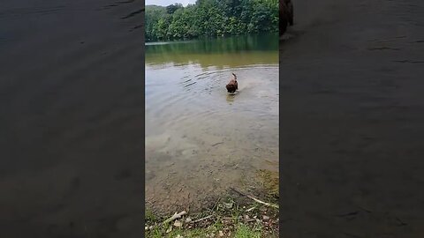 Hunter swimmies!