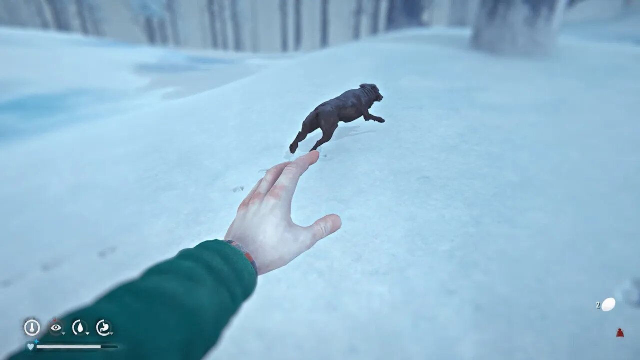 Long Dark Stalker S3 E5 Recovering From Ignorance