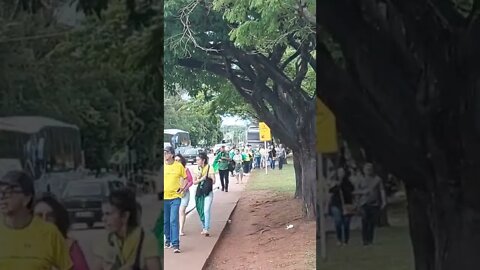 video 2022 11 15 19 39 15