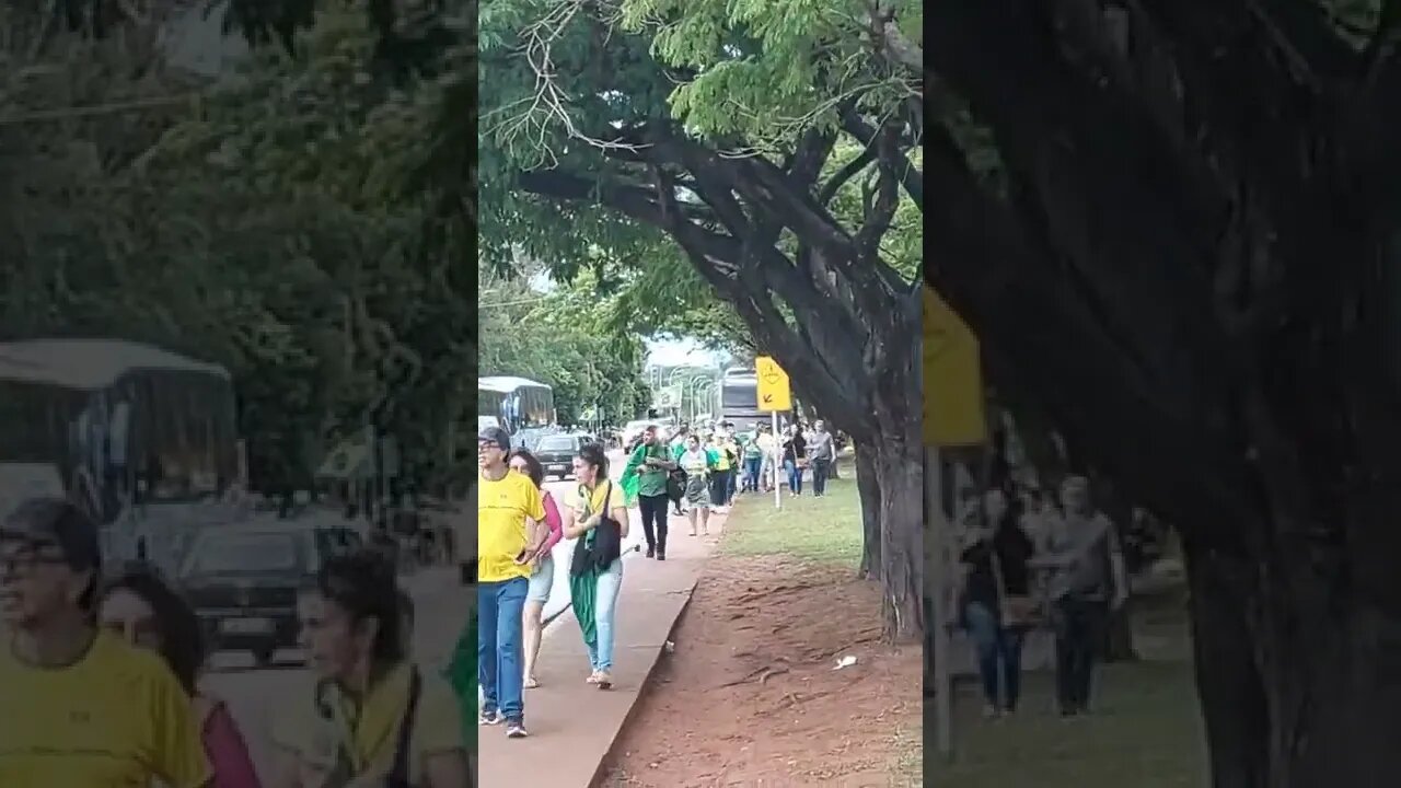 video 2022 11 15 19 39 15
