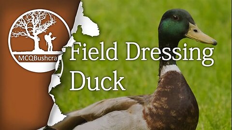 Bushcraft Field Dressing Duck - Whole Bird