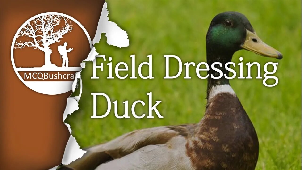 Bushcraft Field Dressing Duck - Whole Bird